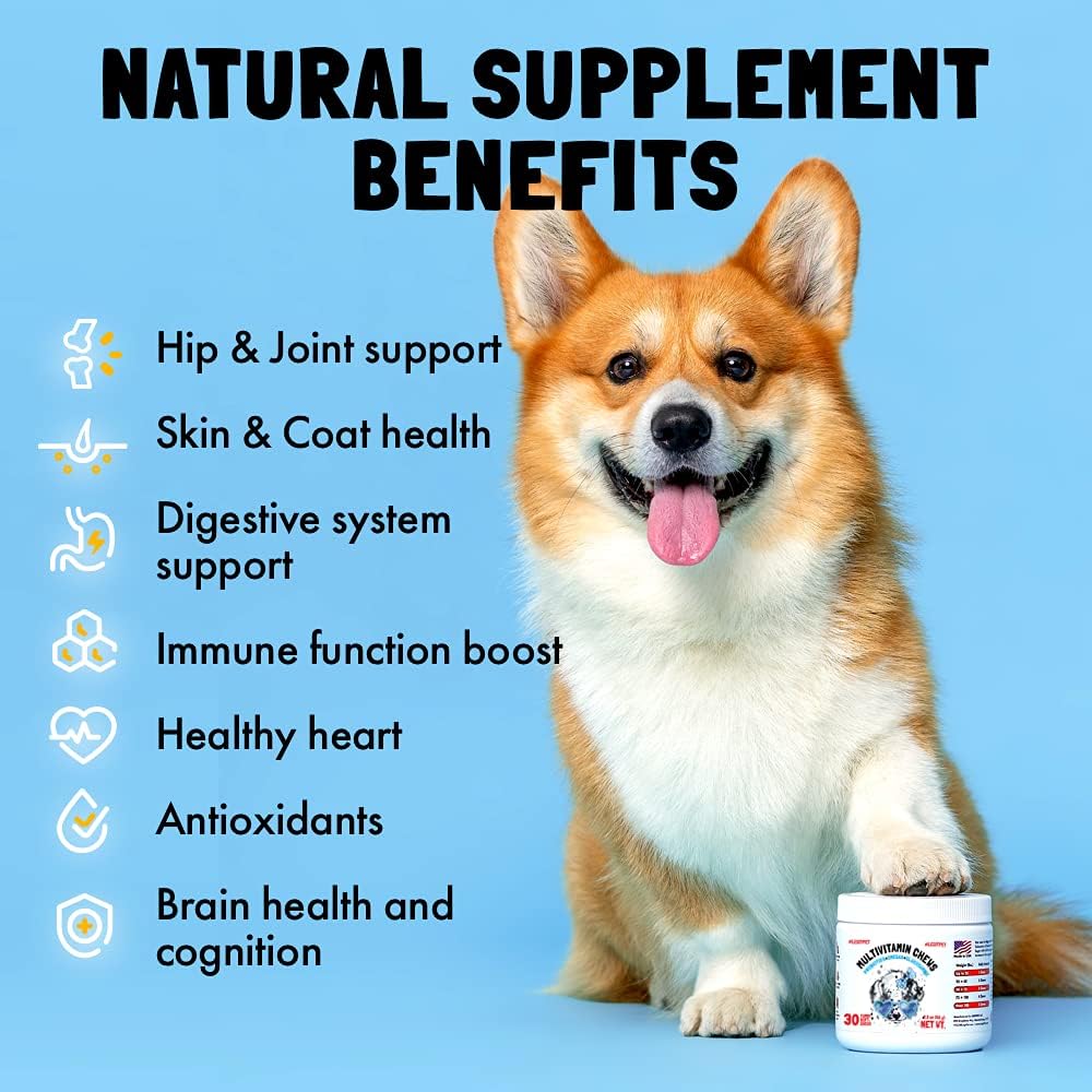 120 Multivitamin Chews for Dogs with Glucosamine, Chondroitin, Probiotics, Digestive Enzymes, and Omegas - Supports Joint, Immune, Skin, and Heart Health