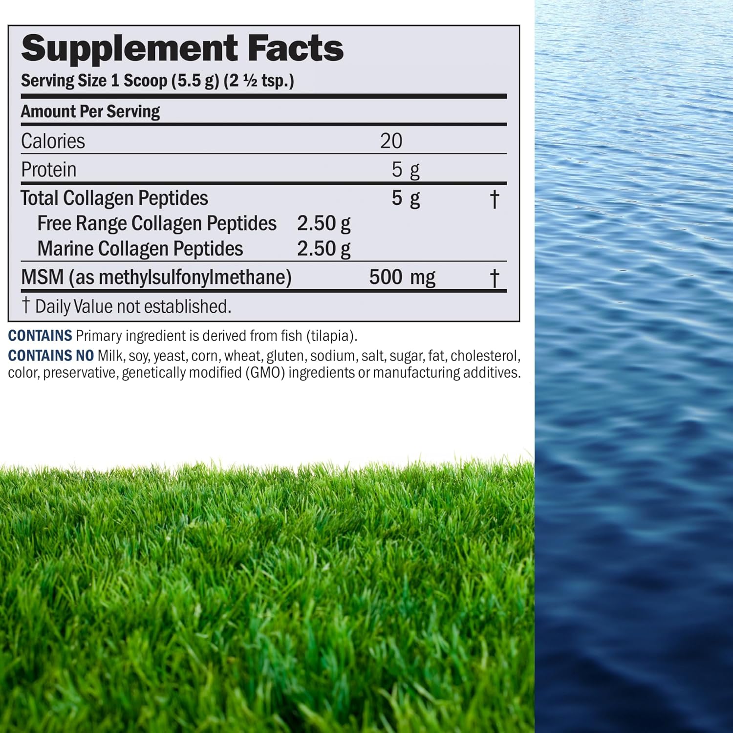 120 Servings Andrew Lessman Marine Collagen Peptides Powder with MSM - Promotes Smooth Skin and Joint Comfort, Super Soluble, Non-GMO, No Fishy Flavor or Additives