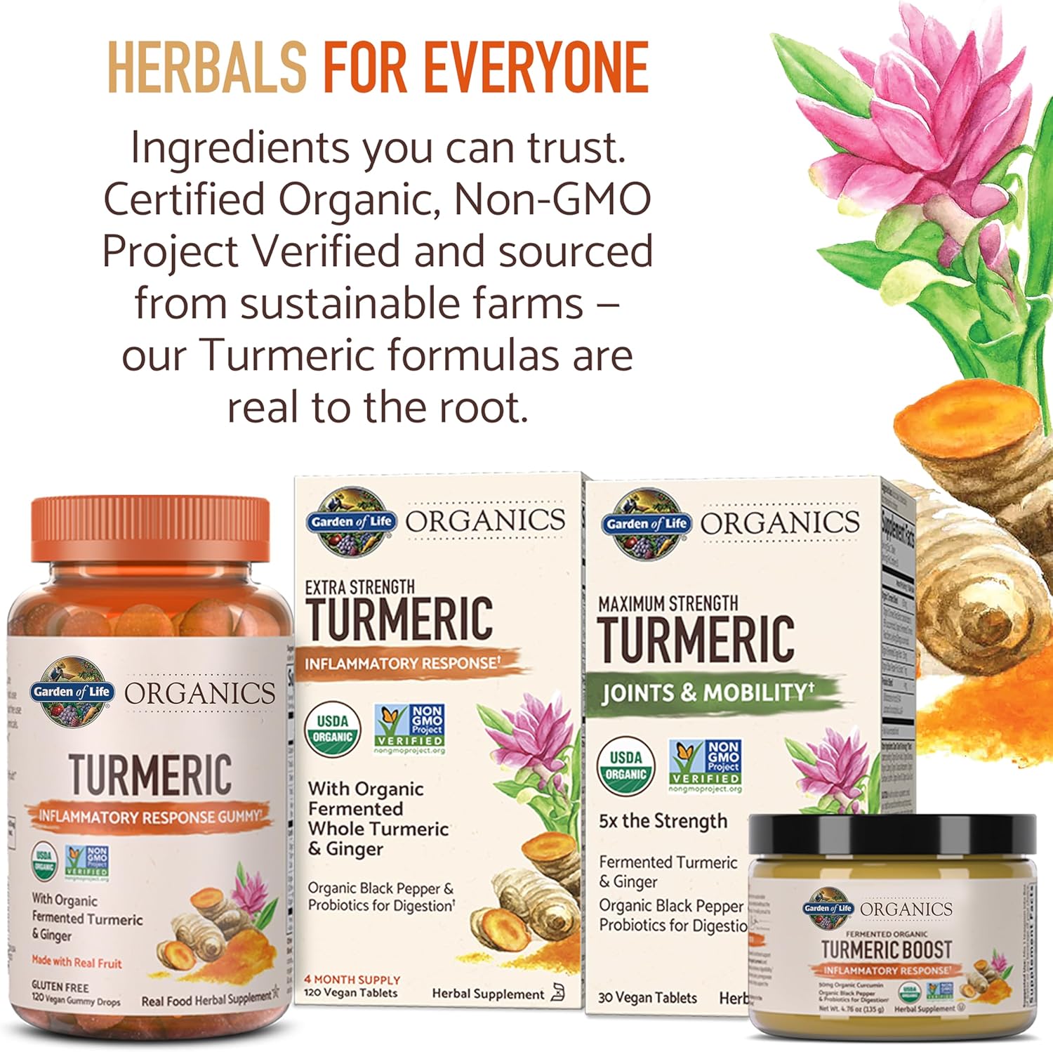 120 Tablets Garden of Life Organics Turmeric Supplement with 100mg Curcumin & Black Pepper - Vegan, Non-GMO, Gluten-Free