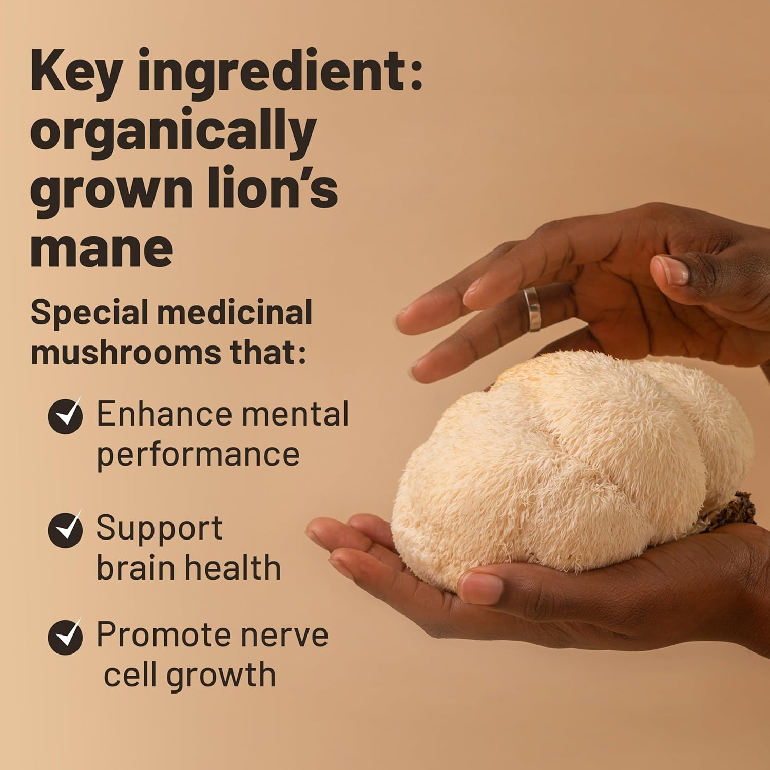 120 Vegan Lions Mane Mushroom Extract Capsules with Bacopa Monnieri, Gotu Kola, Ginseng - Nootropic Brain Support for Focus and Memory