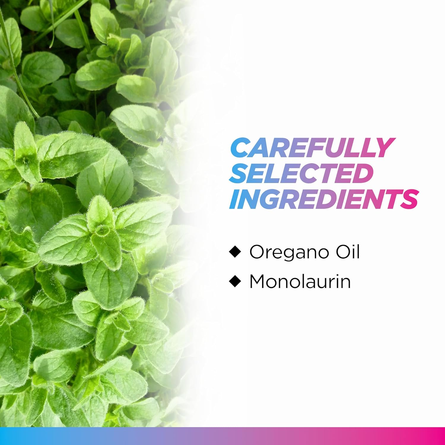 120 Vegetarian Capsules Immune Support Supplement - Gut Health, Intestinal Cleansing, & Antioxidant Immunity - Non-GMO, Vegan, Gluten-Free