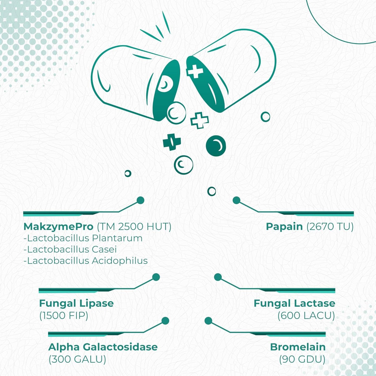 120 Vegetarian Capsules of Makzyme-Pro Blend & Probiotics for Digestive Health - Free of Allergens, Relieves Bloating & Gas