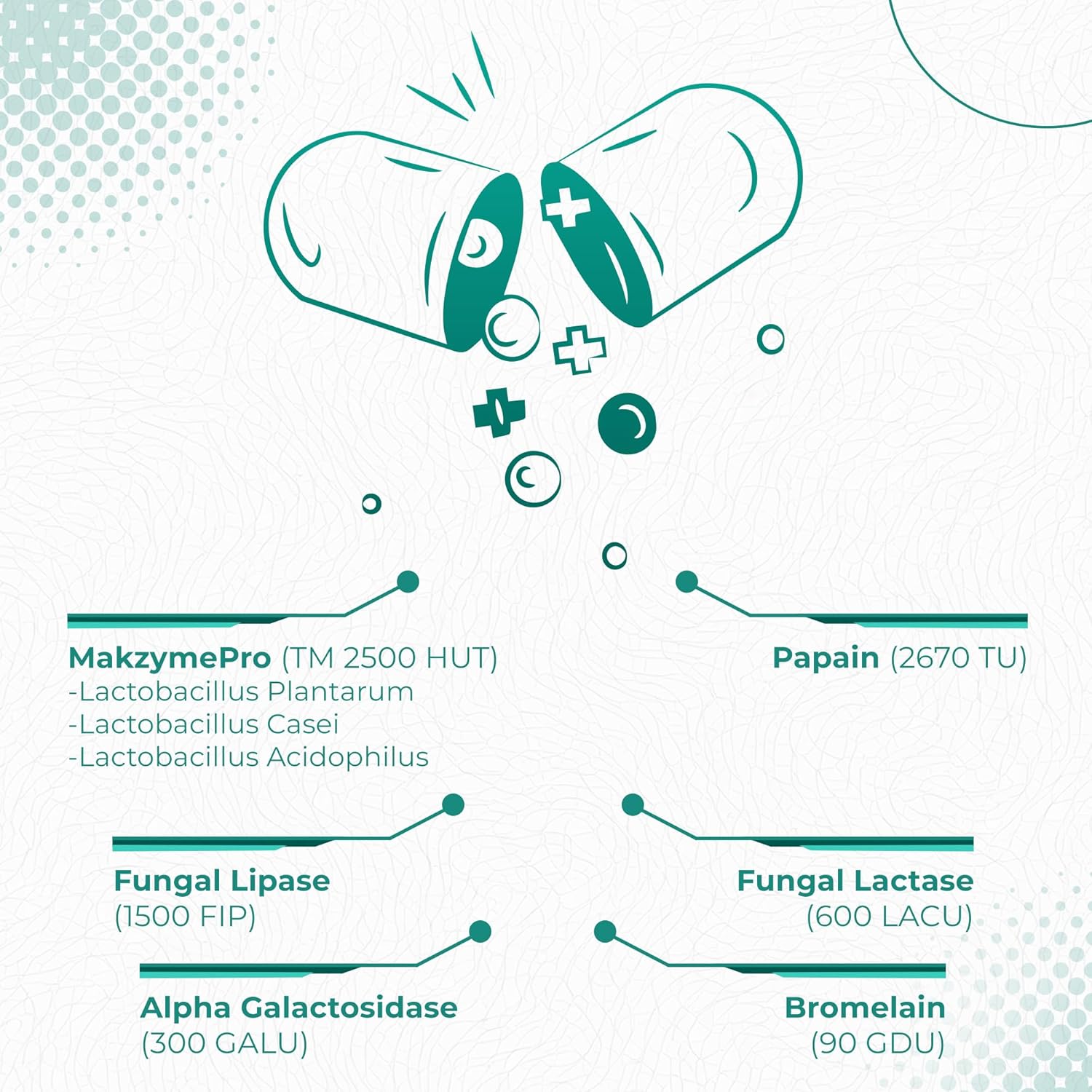 120 Vegetarian Capsules of Makzyme-Pro Blend & Probiotics for Digestive Health - Free of Allergens, Relieves Bloating & Gas