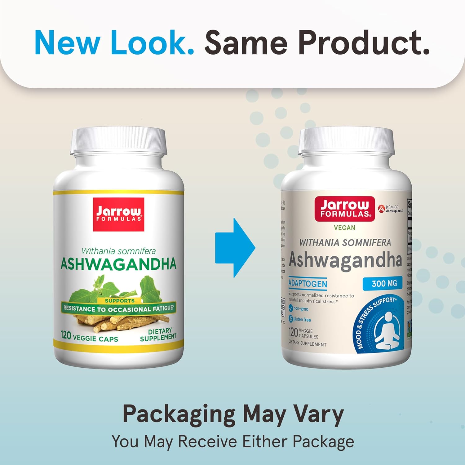 120 Veggie Capsules of Jarrow Formulas Ashwagandha 300 mg - Supports Overall Health, Endurance, and Cognitive Health - 60 Servings in Pack of 12 - Natural Supplement for Fatigue Resistance