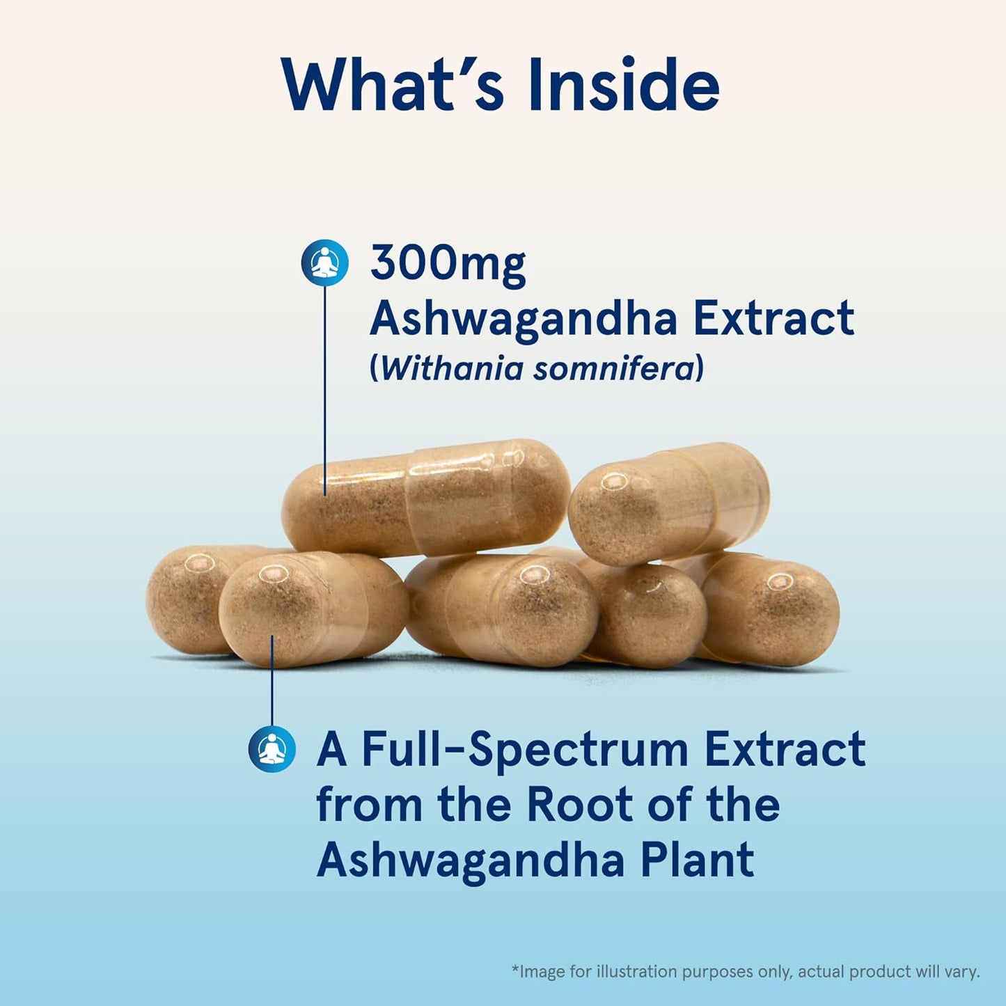 120 Veggie Capsules of Jarrow Formulas Ashwagandha 300 mg - Supports Overall Health, Endurance, and Cognitive Health - 60 Servings in Pack of 12 - Natural Supplement for Fatigue Resistance