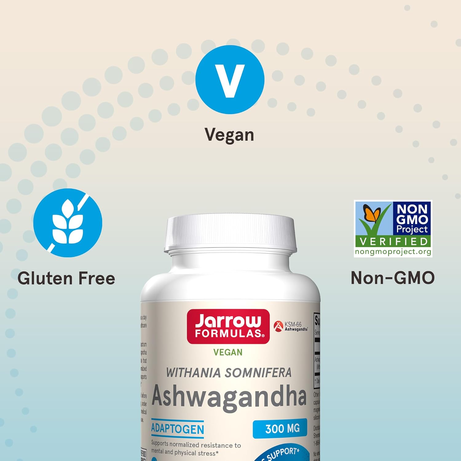 120 Veggie Capsules of Jarrow Formulas Ashwagandha 300 mg - Supports Overall Health, Endurance, and Cognitive Health - 60 Servings in Pack of 12 - Natural Supplement for Fatigue Resistance