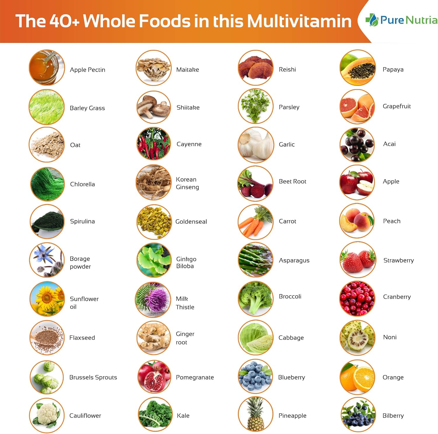 120 Whole Food Multivitamins with Probiotic Enzymes for Men and Women - Rich in WholeFood and Herbal Ingredients - Supports Digestive Health with Powerful Antioxidants