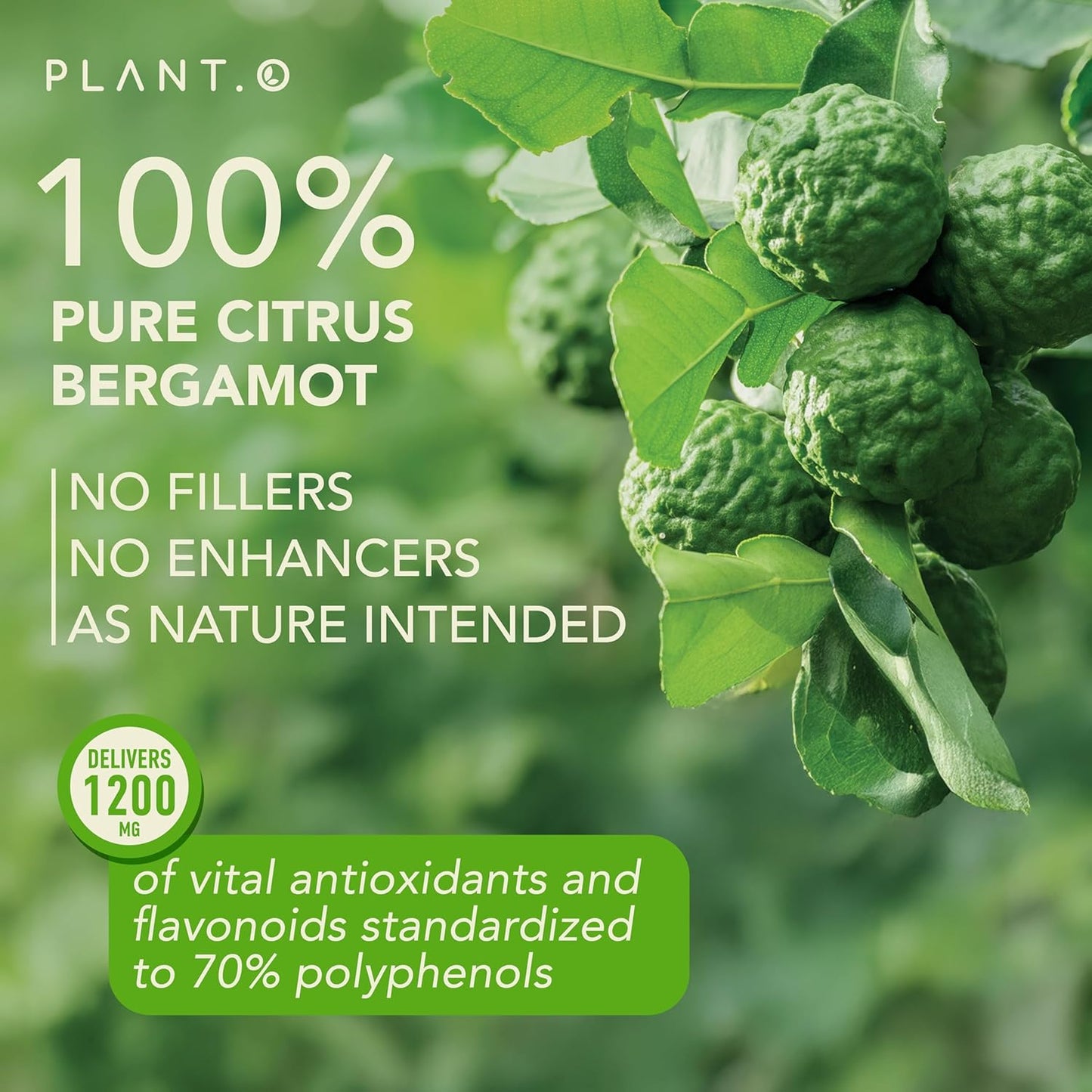 1200mg Citrus Bergamot Supplement with 70% Polyphenols - Pure Extract for Heart Health - 60 Capsules - Made in USA