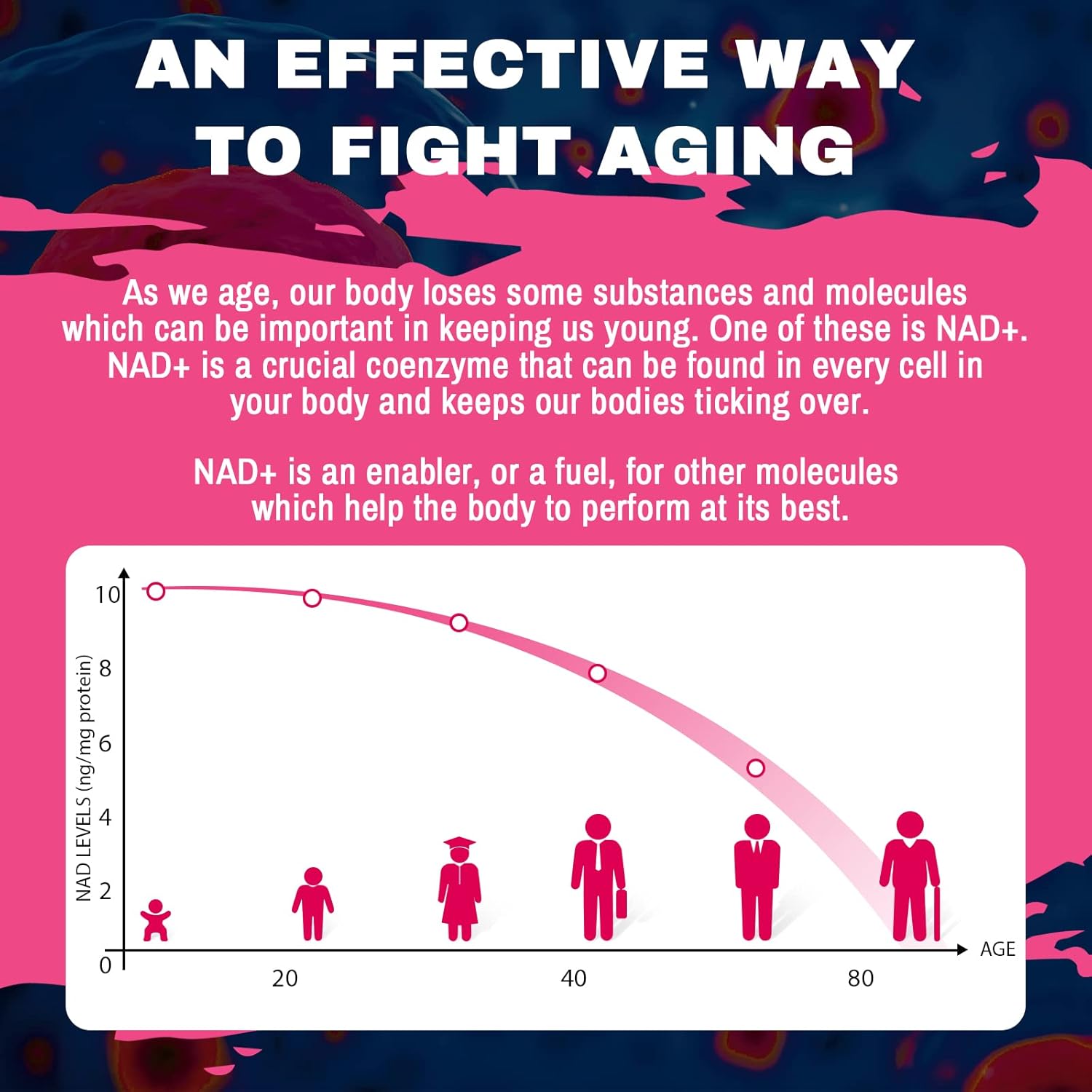 1200mg Liposomal NAD+ Supplement for Enhanced Absorption and Energy Support - 60 Softgels