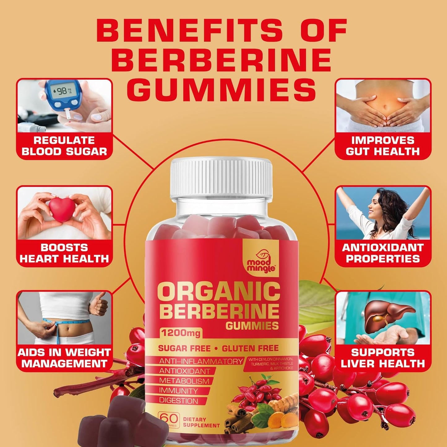 1200mg Mood Mingle Berberine Gummies with Ceylon Cinnamon, Turmeric, Milk Thistle & Artichoke - Sugar & Gluten Free - GMP Quality