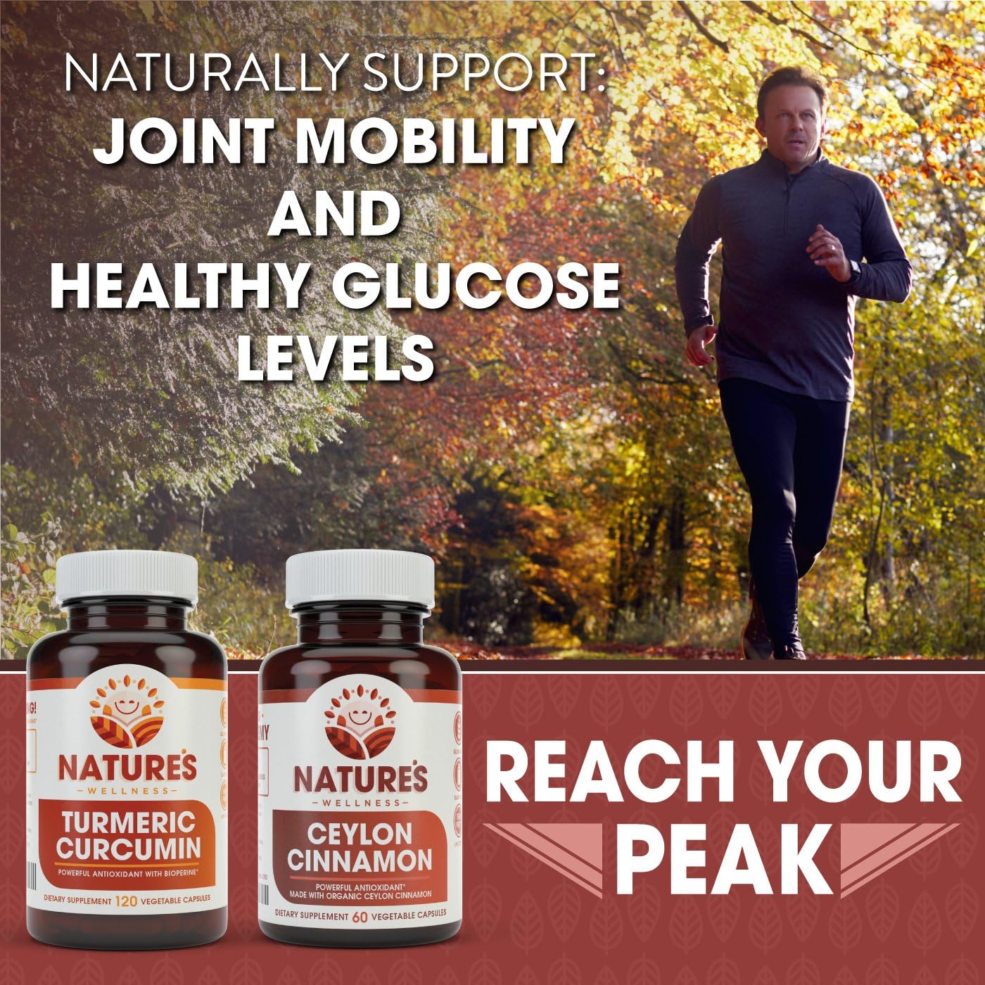 1200mg Organic Ceylon Cinnamon Capsules - Antioxidant for Joint Health - Non-GMO - 60 Capsules