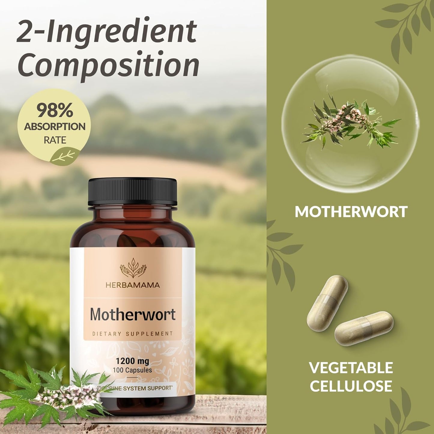 1200mg Vegan Motherwort Capsules for Women's Calm Support - Non-GMO Relaxation Supplement - 100 Capsuled by HERBAMAMA