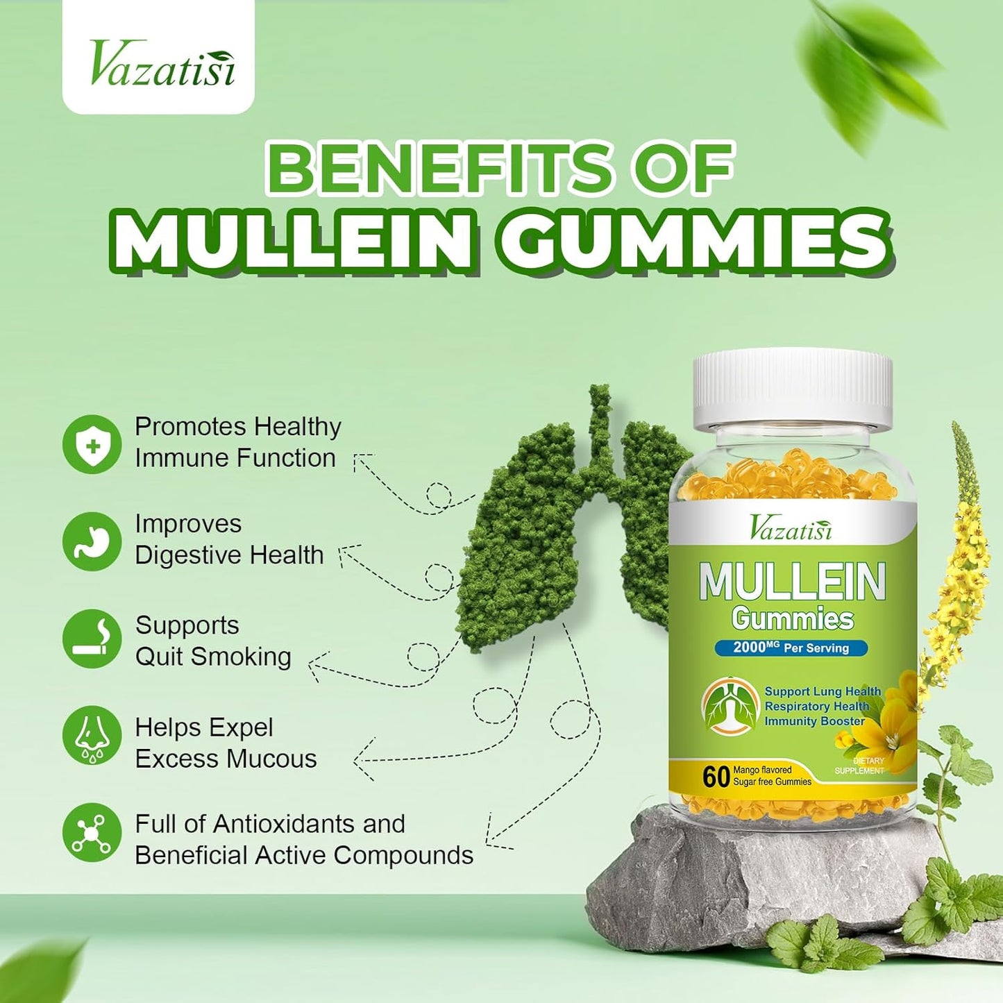 120ct Vazatisi Mullein Gummies with Bromelain, Quercetin, Pine Bark Extract for Lung Cleanse & Healthy Breathing