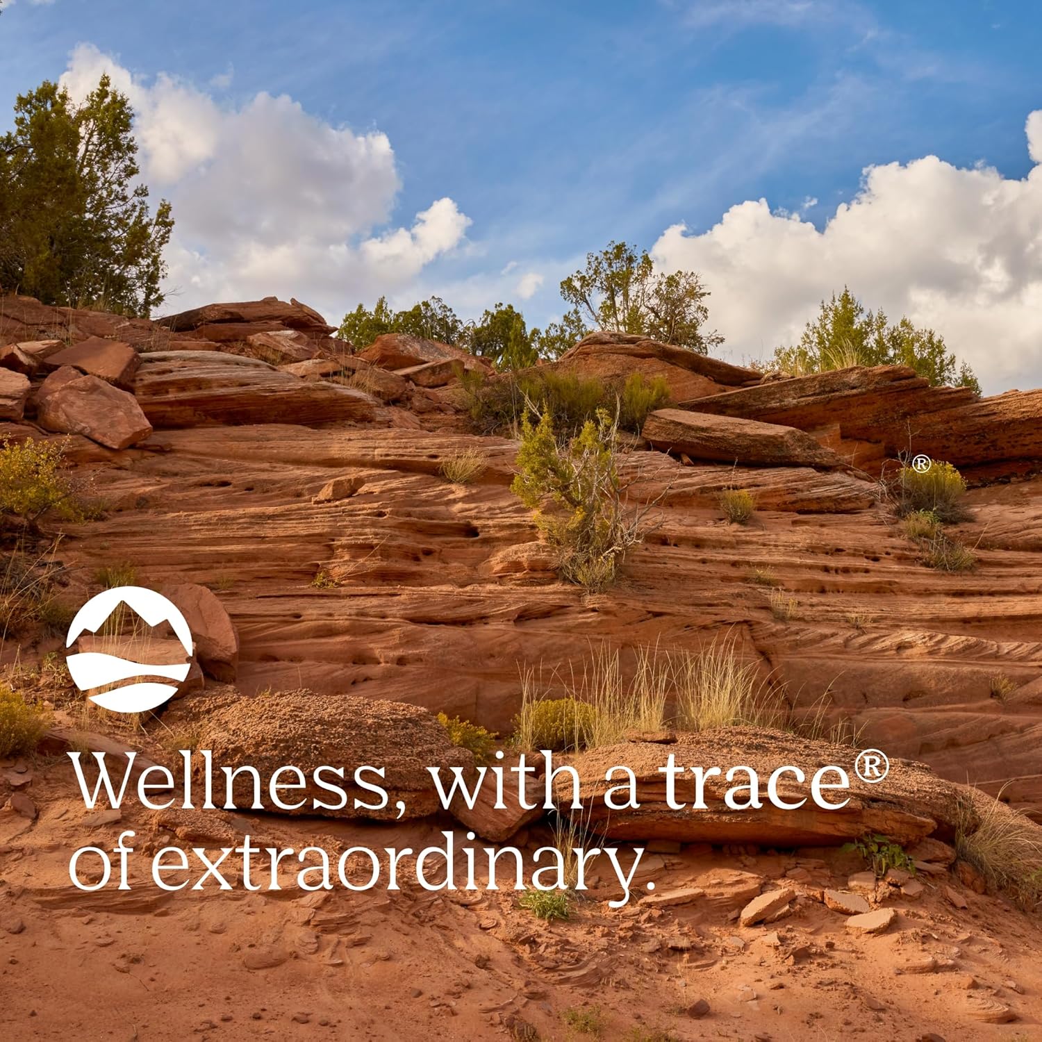 120mg Trace Minerals Magnesium Glycinate Capsules - Supports Bone Strength, Muscle Function, Healthy Sleep & Nerve Health - 90 Servings