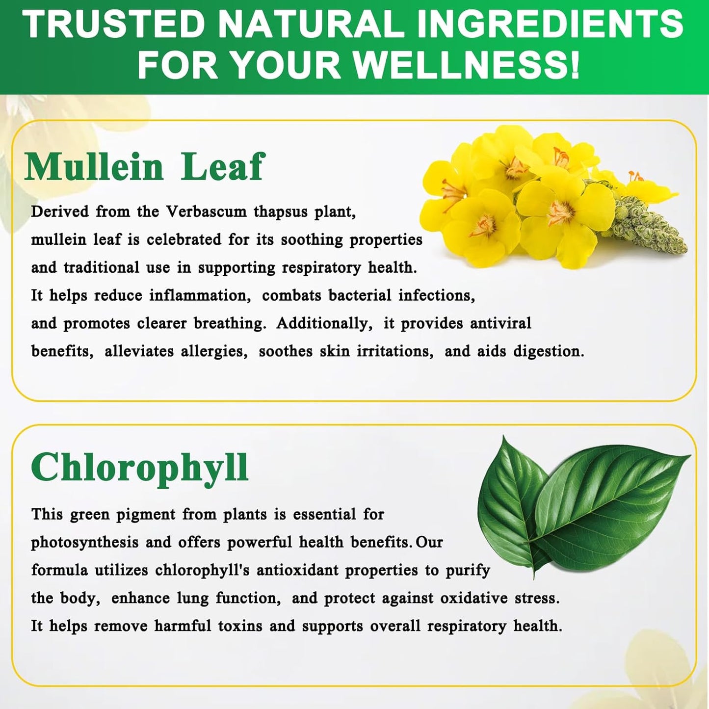 120ML Natural Mullein Leaf Extract Drops for Lung Health and Immune Support