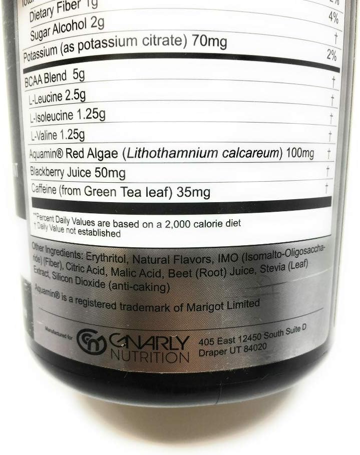 12.98 OZ Gnarly Branch Chain Berry Lemonade Amino Acid Supplement for Improved Performance