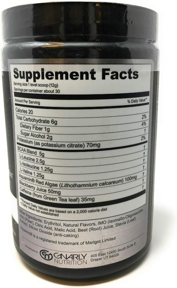 12.98 OZ Gnarly Branch Chain Berry Lemonade Amino Acid Supplement for Improved Performance