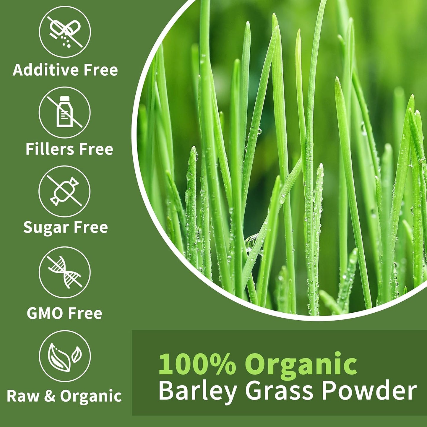 13 oz Hudetex Barley Grass Juice Powder - Pure Wheatgrass Powder for Cardiovascular, Liver, Digestive Health - Vegan, No Maltodextrin & Sugar - Supports Overall Wellness