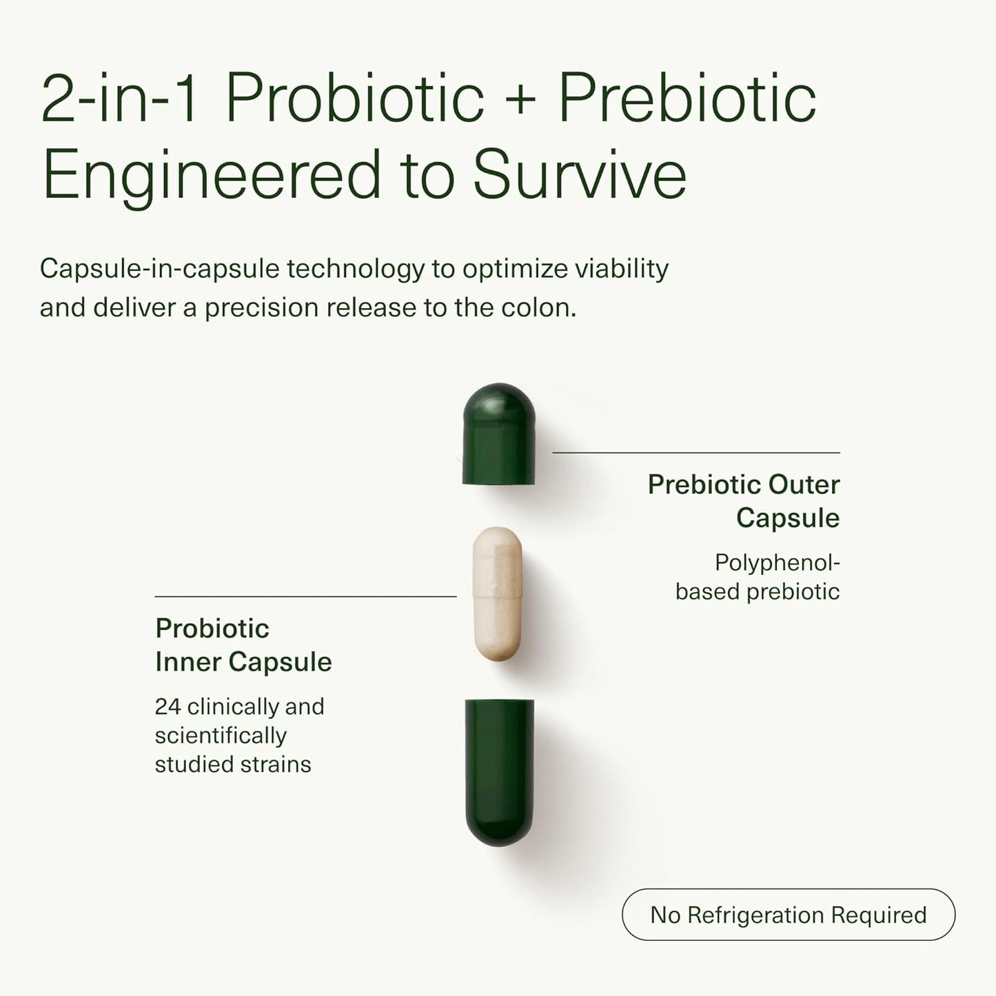 14 Day Gut Reset: Prebiotic & Probiotic for Digestive Health - Rapid Recovery, Bloating Relief - Vegan, Shelf-Stable - 28 Capsules