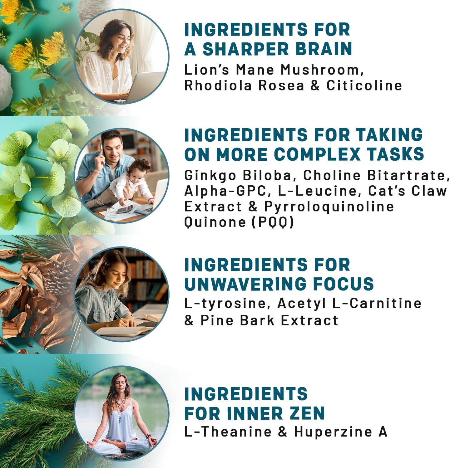 14-in-1 Lions Mane Nootropic Brain Supplement Capsules with Ginkgo Biloba for Memory, Focus, and Brain Support - Alpha GPC, L Theanine, and Choline Supplements - 1300mg Per Serving (60 ct)