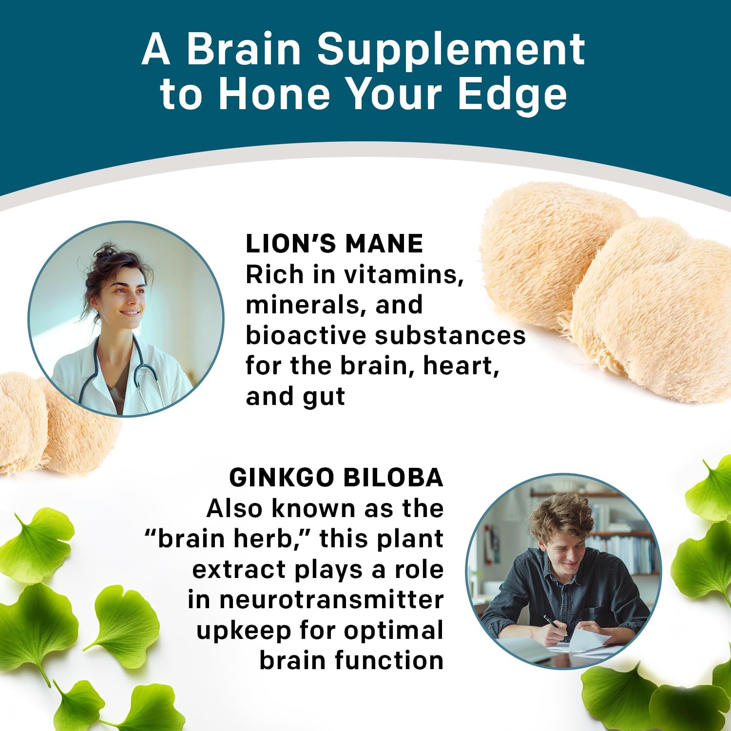 14-in-1 Lions Mane Nootropic Brain Supplement Capsules with Ginkgo Biloba for Memory, Focus, and Brain Support - Alpha GPC, L Theanine, and Choline Supplements - 1300mg Per Serving (60 ct)