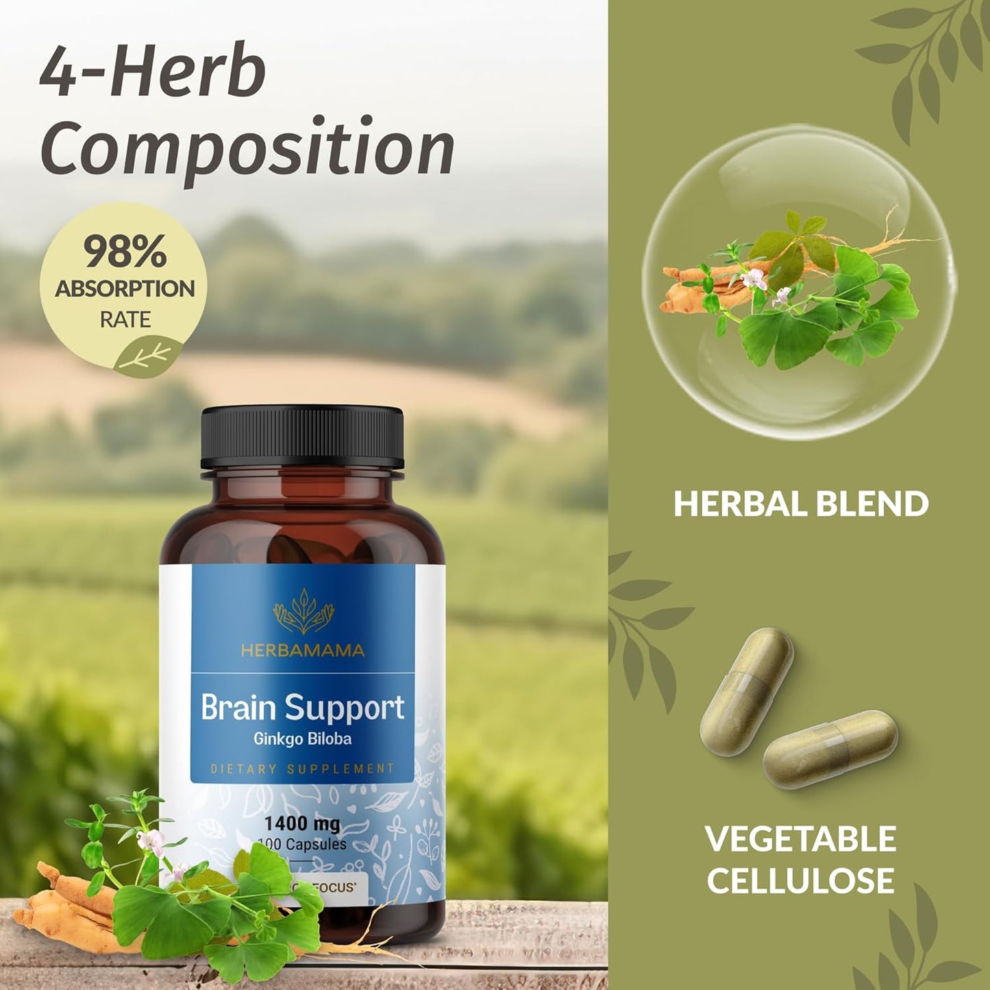 1400mg Brain Support Capsules with Bacopa, Panax Ginseng, and Ginkgo Biloba - Vegan and Non-GMO Focus Supplement for Adults - 100 Capsules by HERBAMAMA