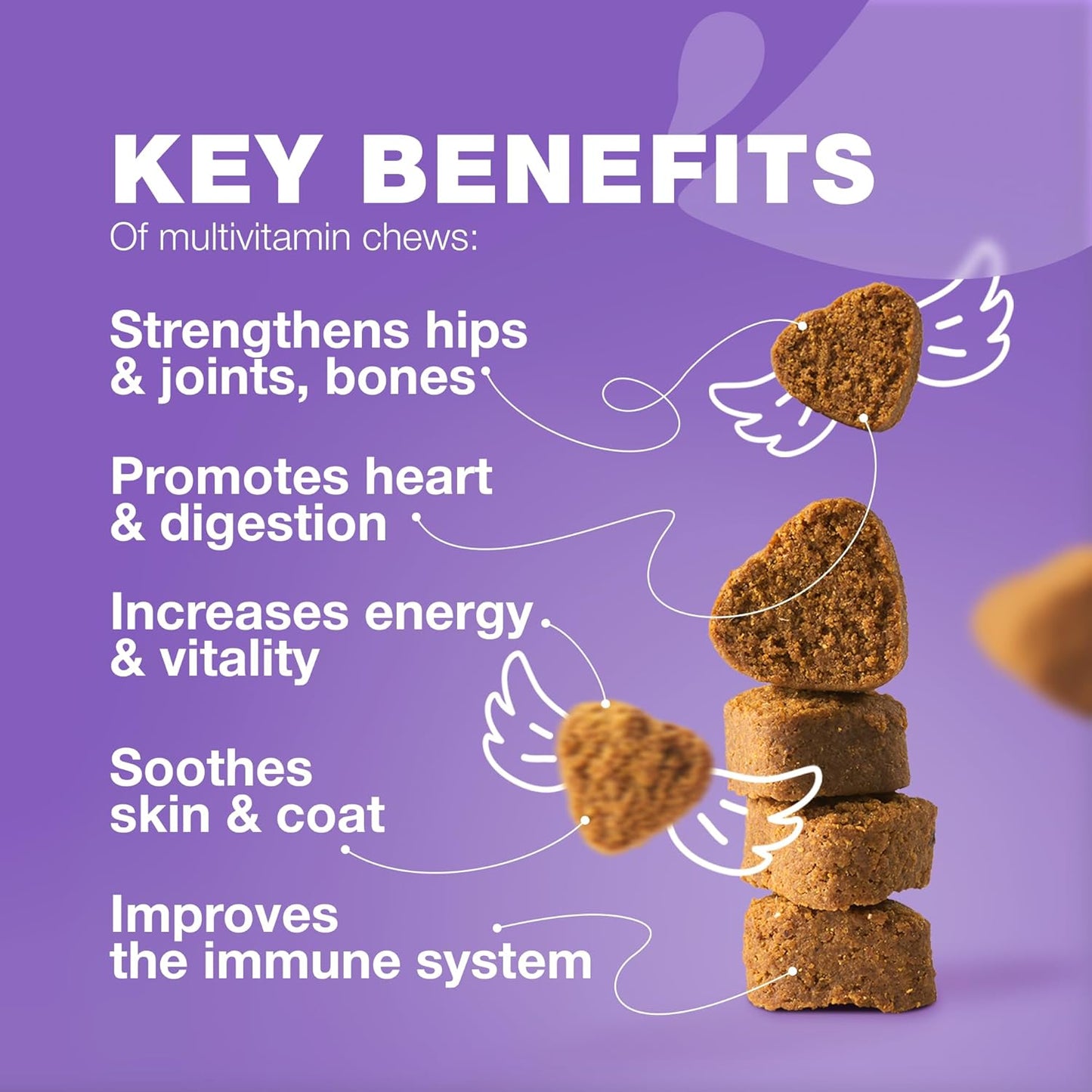 15-in-1 Dog Multivitamin Chews with MSM for Hip & Joint Health, Itchy Skin Relief, Immune Support, Enzymes, Skin & Coat, Mobility Support by CHEWIA