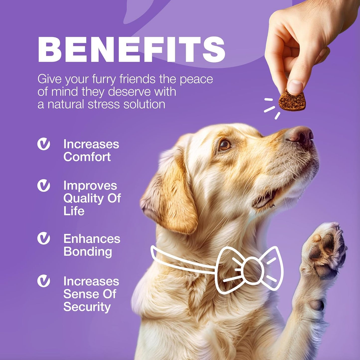 15-in-1 Dog Multivitamin Chews with MSM for Hip & Joint Health, Itchy Skin Relief, Immune Support, Enzymes, Skin & Coat, Mobility Support by CHEWIA