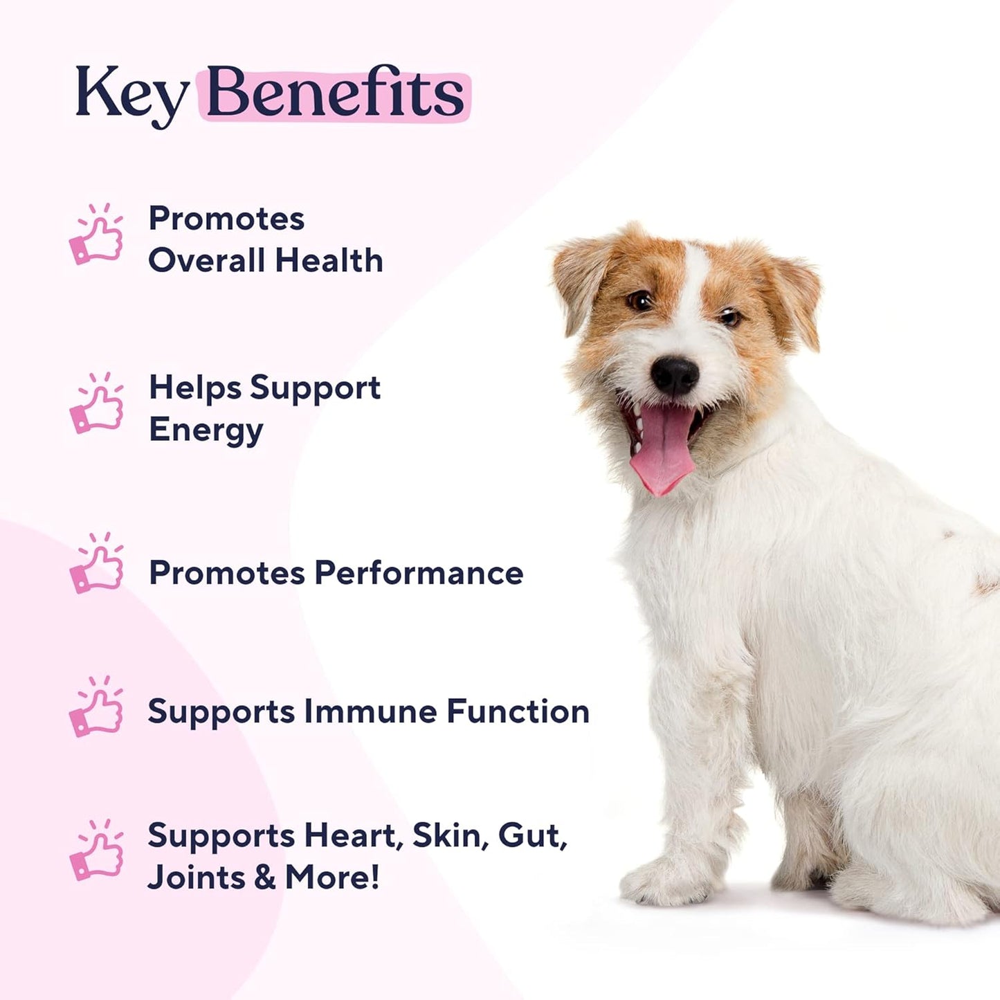 15-in-1 Dog Multivitamins for Skin, Coat & Wellness | Senior Dog Supplements for Itching | Puppy Vitamin C Chews - 30 Count