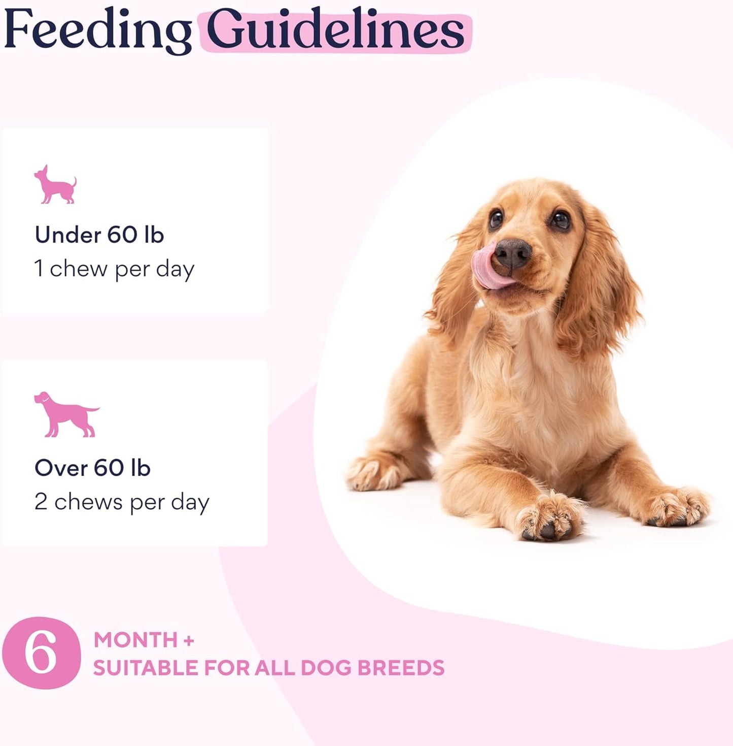 15-in-1 Dog Multivitamins for Skin, Coat & Wellness | Senior Dog Supplements for Itching | Puppy Vitamin C Chews - 30 Count