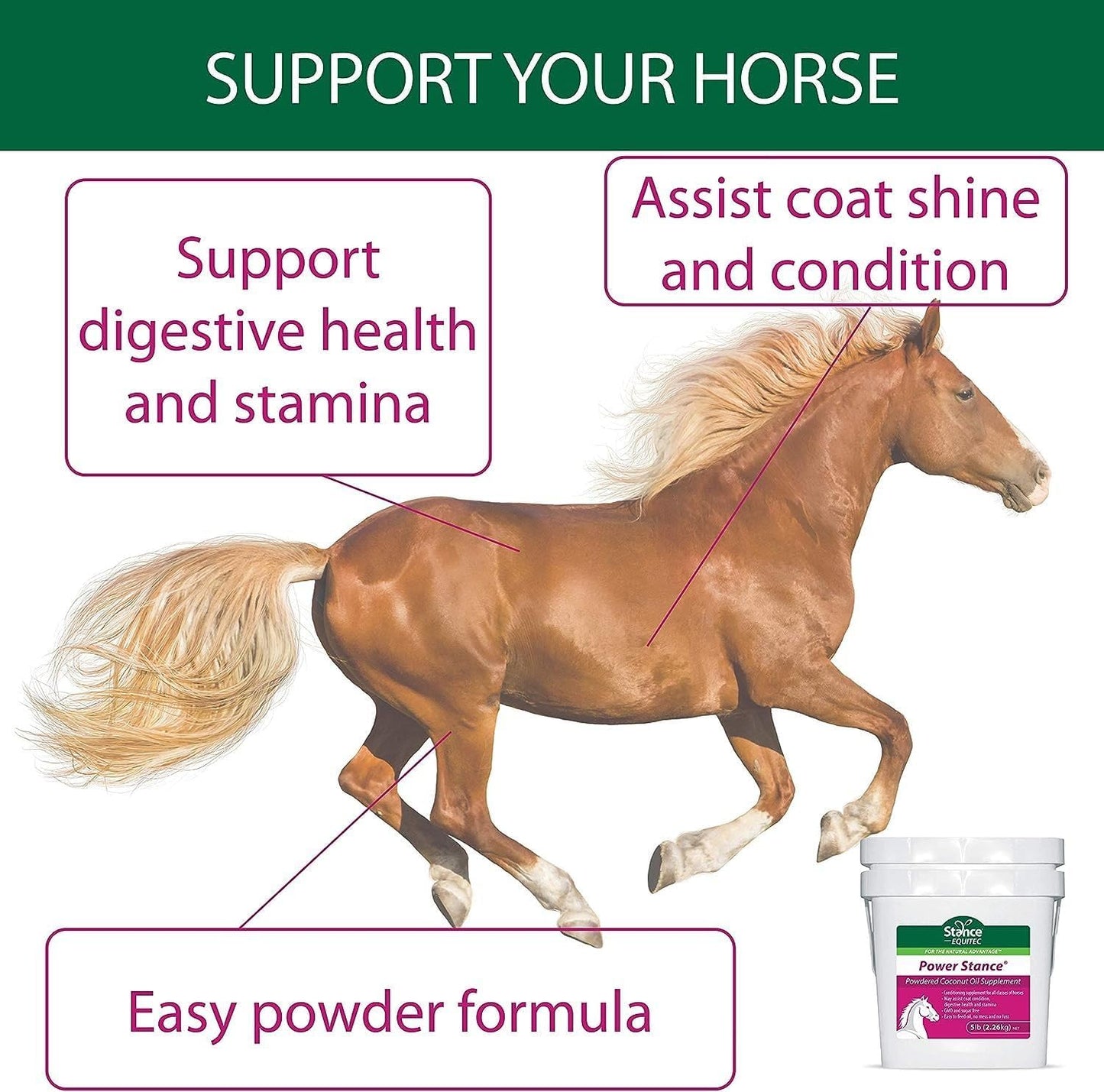 15 lb Stance Power Powdered Coconut Oil Horse Supplement - Promotes Healthy Coat, Digestive Health, and Stamina - Non-GMO and Sugar-Free