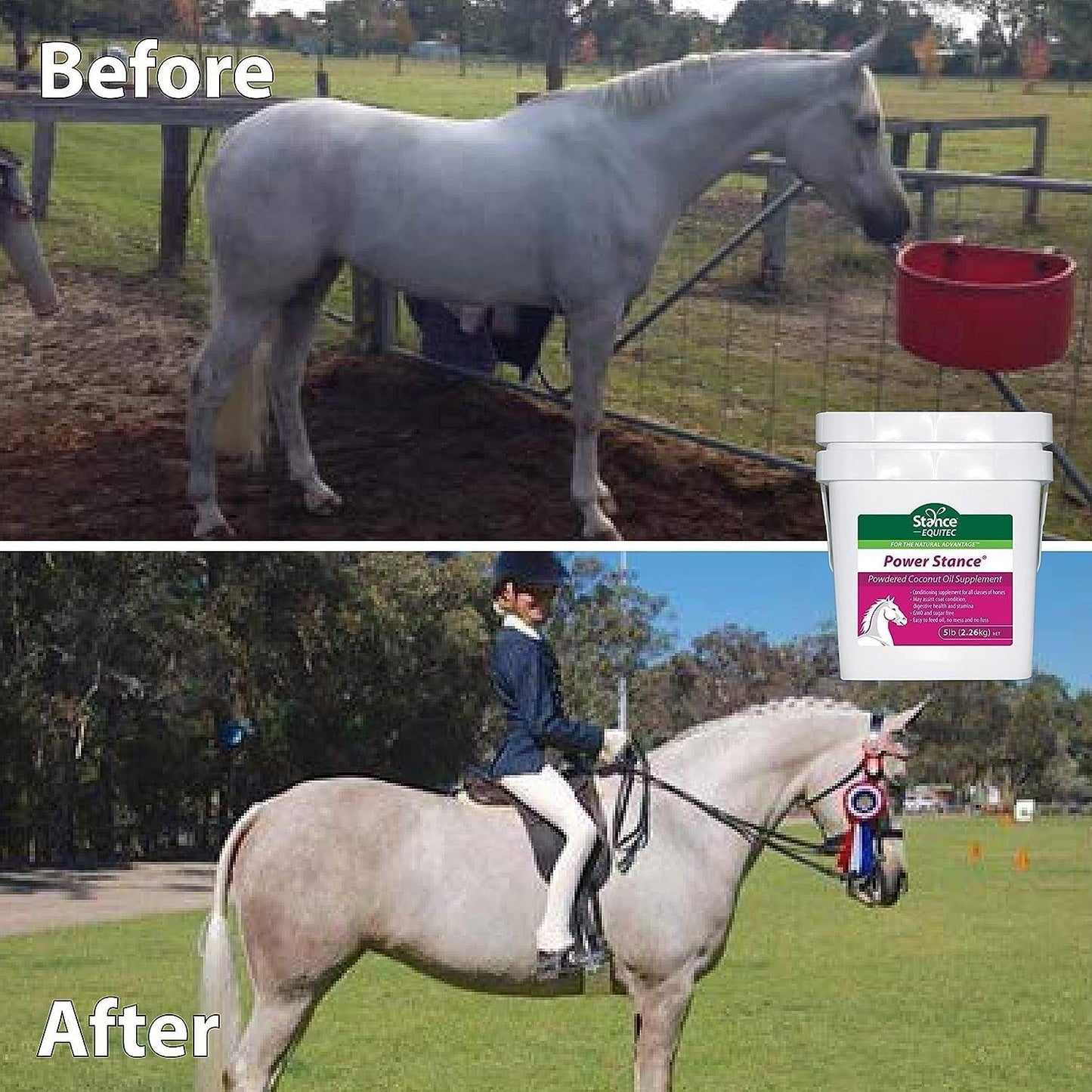 15 lb Stance Power Powdered Coconut Oil Horse Supplement - Promotes Healthy Coat, Digestive Health, and Stamina - Non-GMO and Sugar-Free