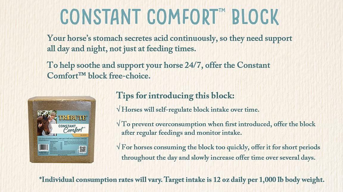 15 lb TRIBUTE Constant Comfort Supplement Block for Gastric Health in Horses
