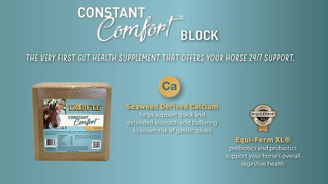 15 lb TRIBUTE Constant Comfort Supplement Block for Gastric Health in Horses