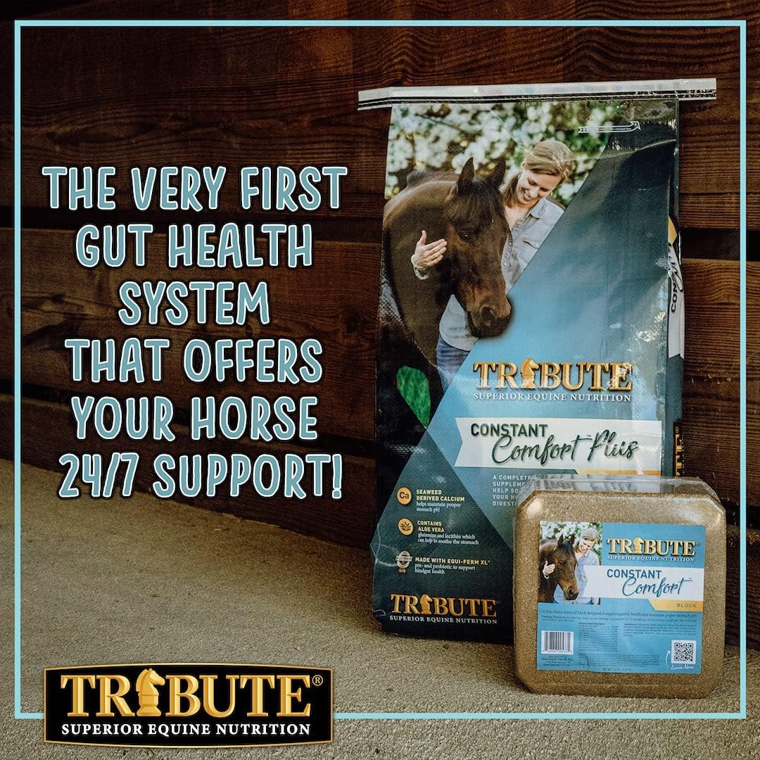 15 lb TRIBUTE Constant Comfort Supplement Block for Gastric Health in Horses