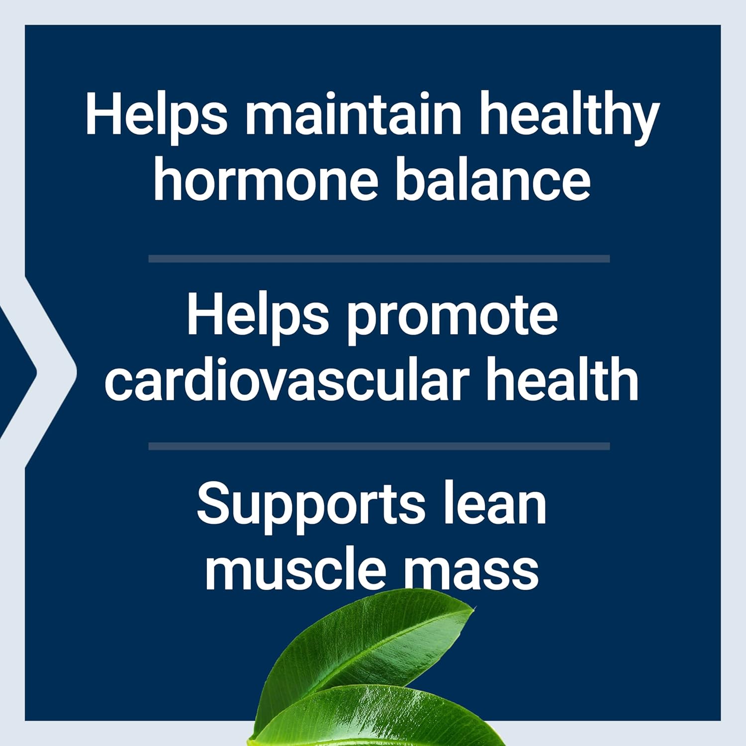 15 mg DHEA Capsules for Hormone Balance, Cardiovascular Health, Lean Muscle Mass, 100ct Gluten-Free Non-GMO