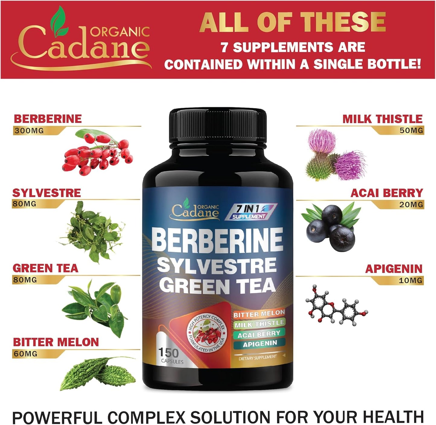 150 Capsules Organic Cadane Berberine Extract 35:1 Supplement with Gymnema Sylvestre, Green Tea - Immune System and Digestive Health Support