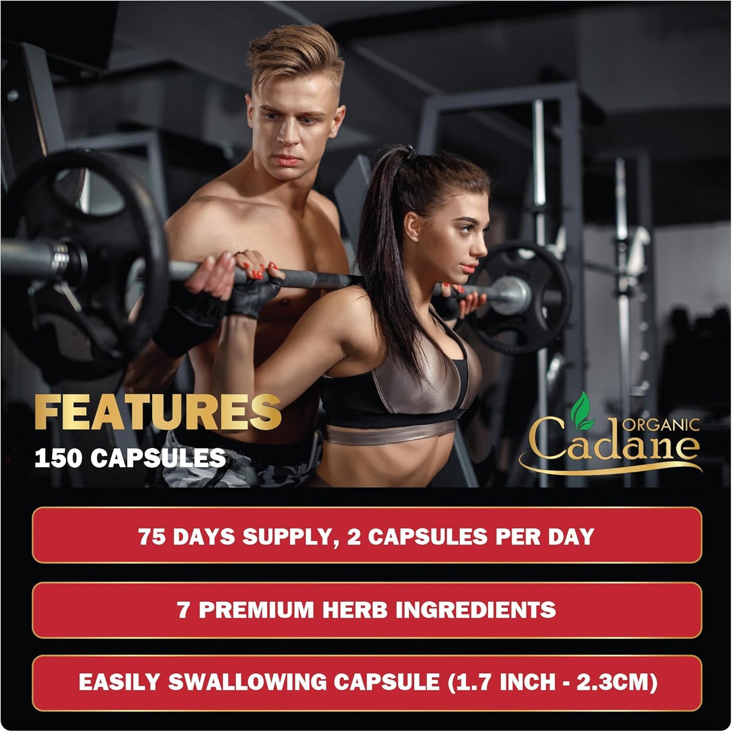 150 Capsules Organic Cadane Berberine Extract 35:1 Supplement with Gymnema Sylvestre, Green Tea - Immune System and Digestive Health Support