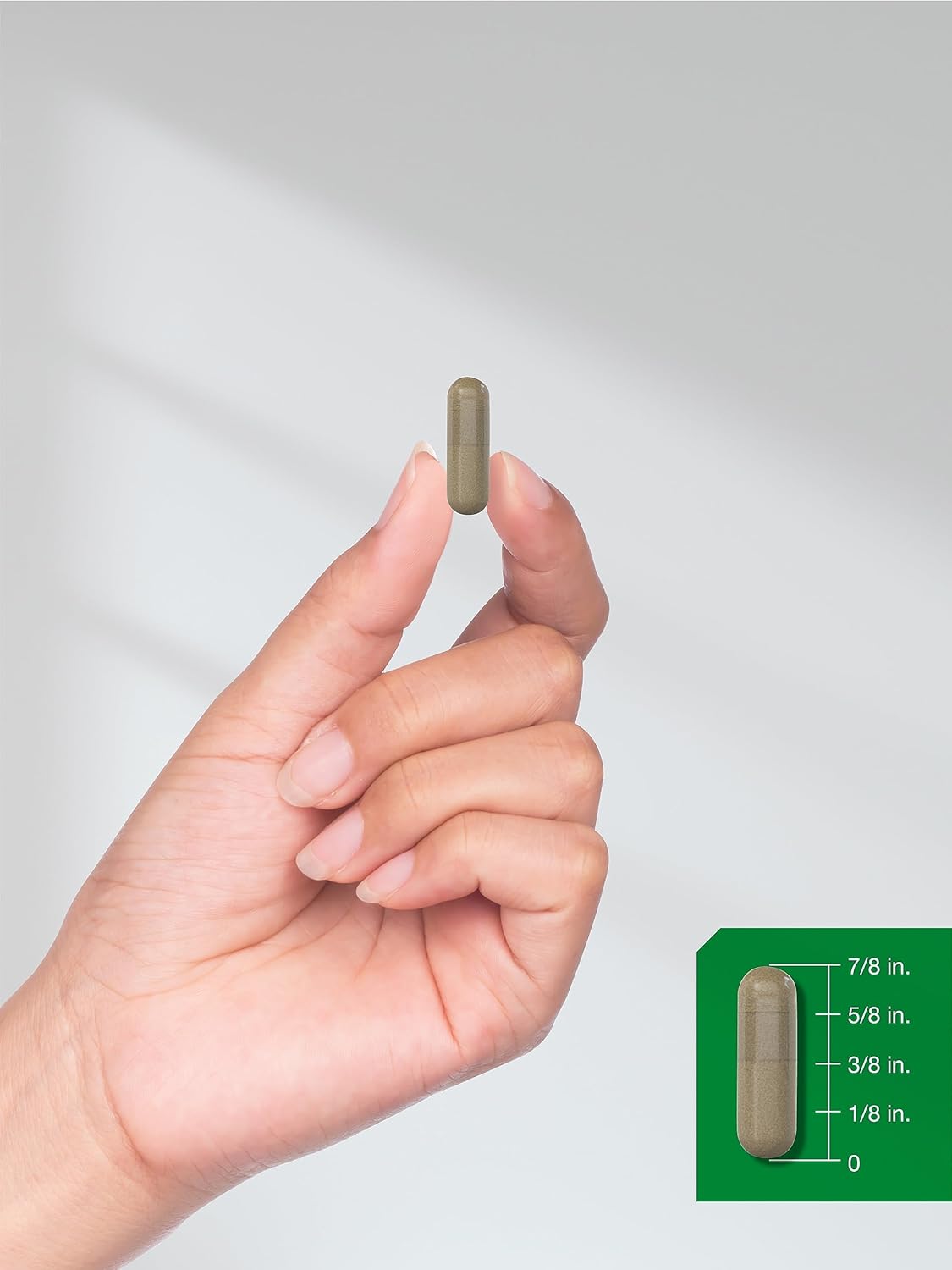 150 Count Non-GMO Horbäach Dong Quai Capsules 1000mg - Gluten Free Traditional Herb Supplement
