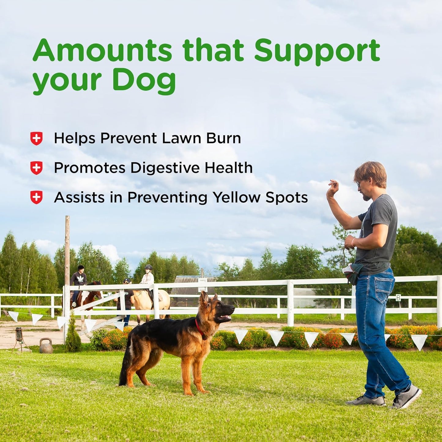 150-Count Nutri-Vet Grass Guard Chewables with Probiotics and Enzymes for Dogs - Prevent Lawn Burn from Urine