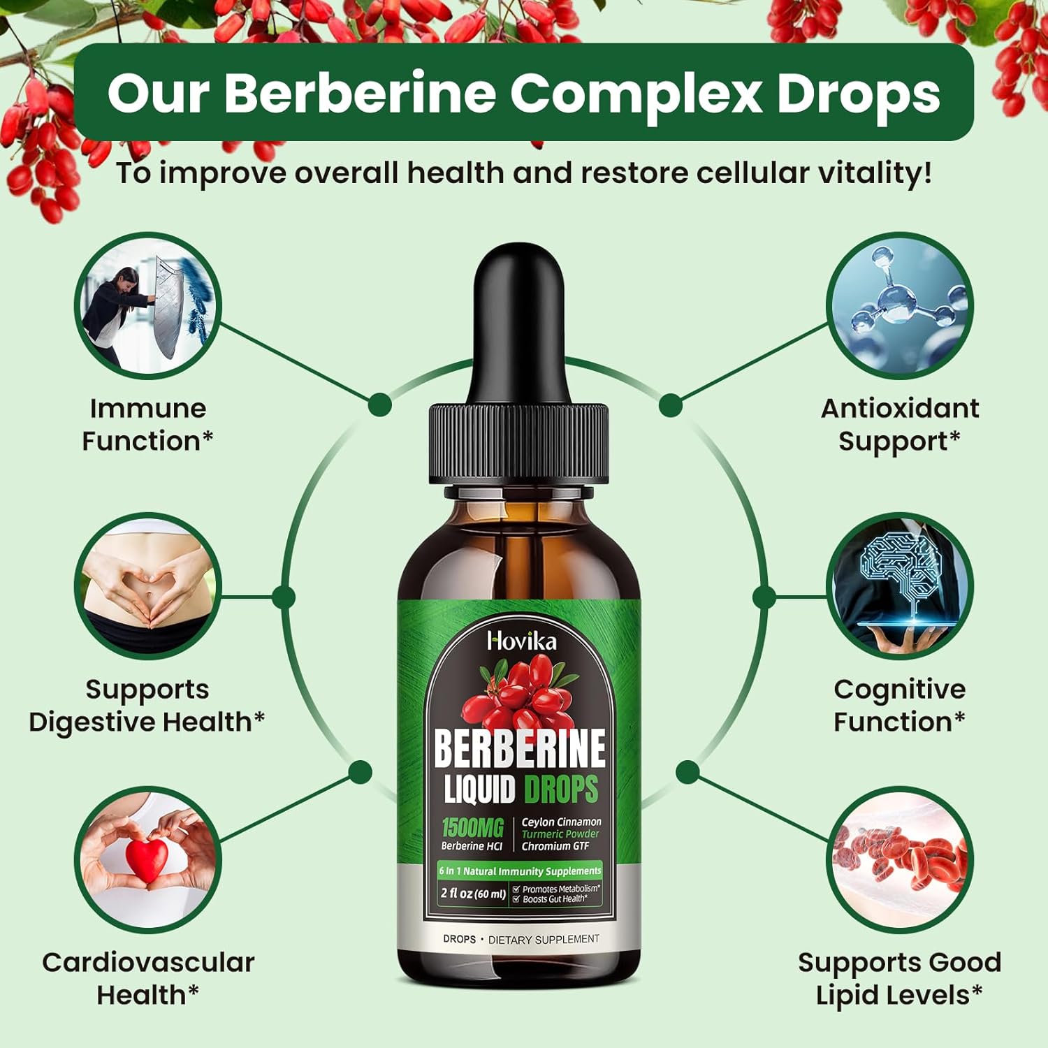 1500 mg Berberine HCL Liquid Drops with Ceylon Cinnamon, Turmeric, Chromium - Supports Metabolism, Immune System, Gut Health - 2 FL Oz Vegan Supplement