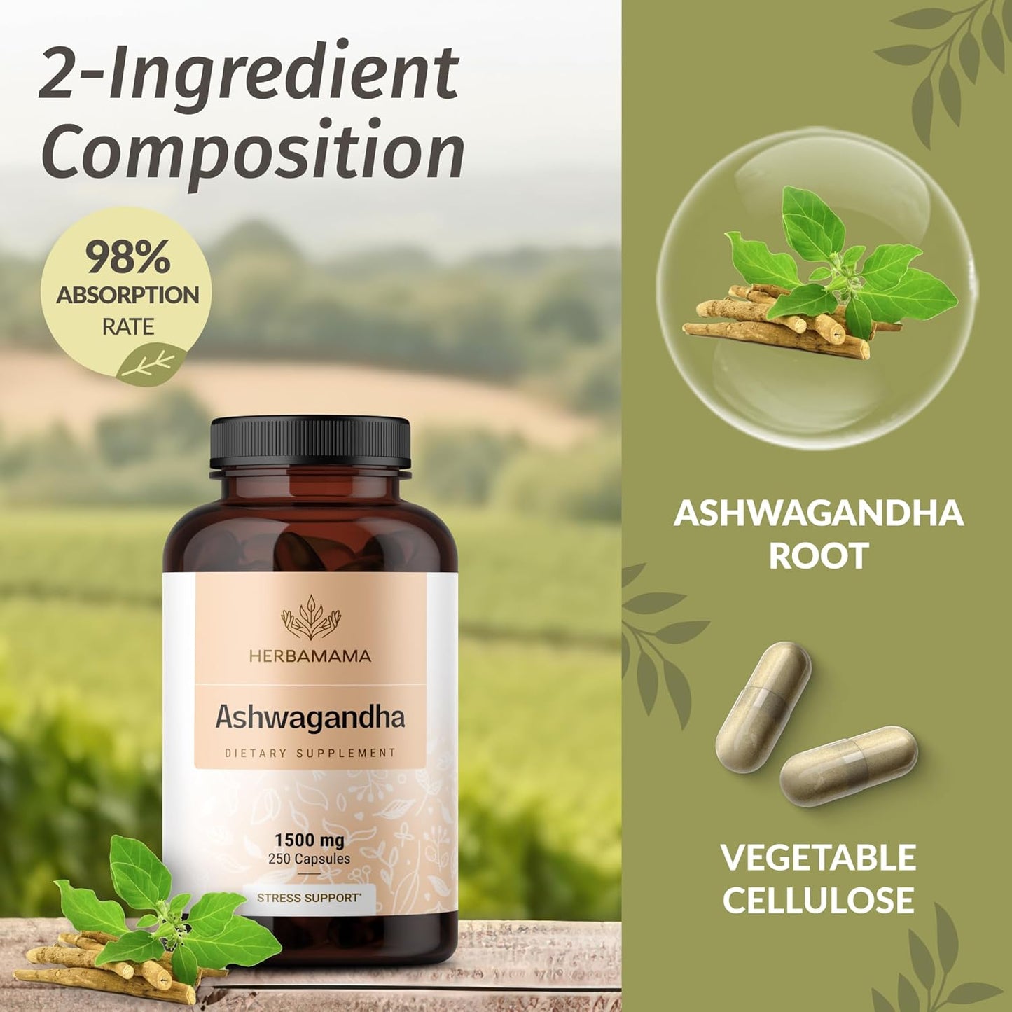 1500mg Ashwagandha Root Capsules & Turmeric Ginger Tincture Bundle - Vegan, Non-GMO - 2 Pack