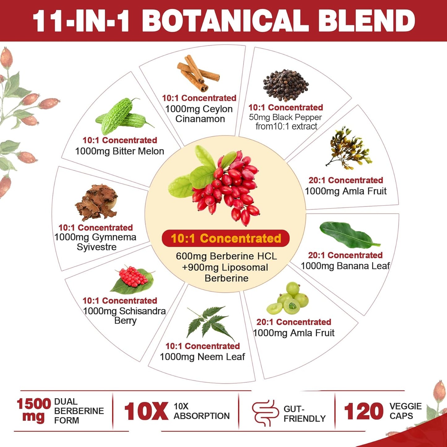 1500mg Berberine Supplement & 1000mg Vegan Omega 3 Supplement by Nextdia