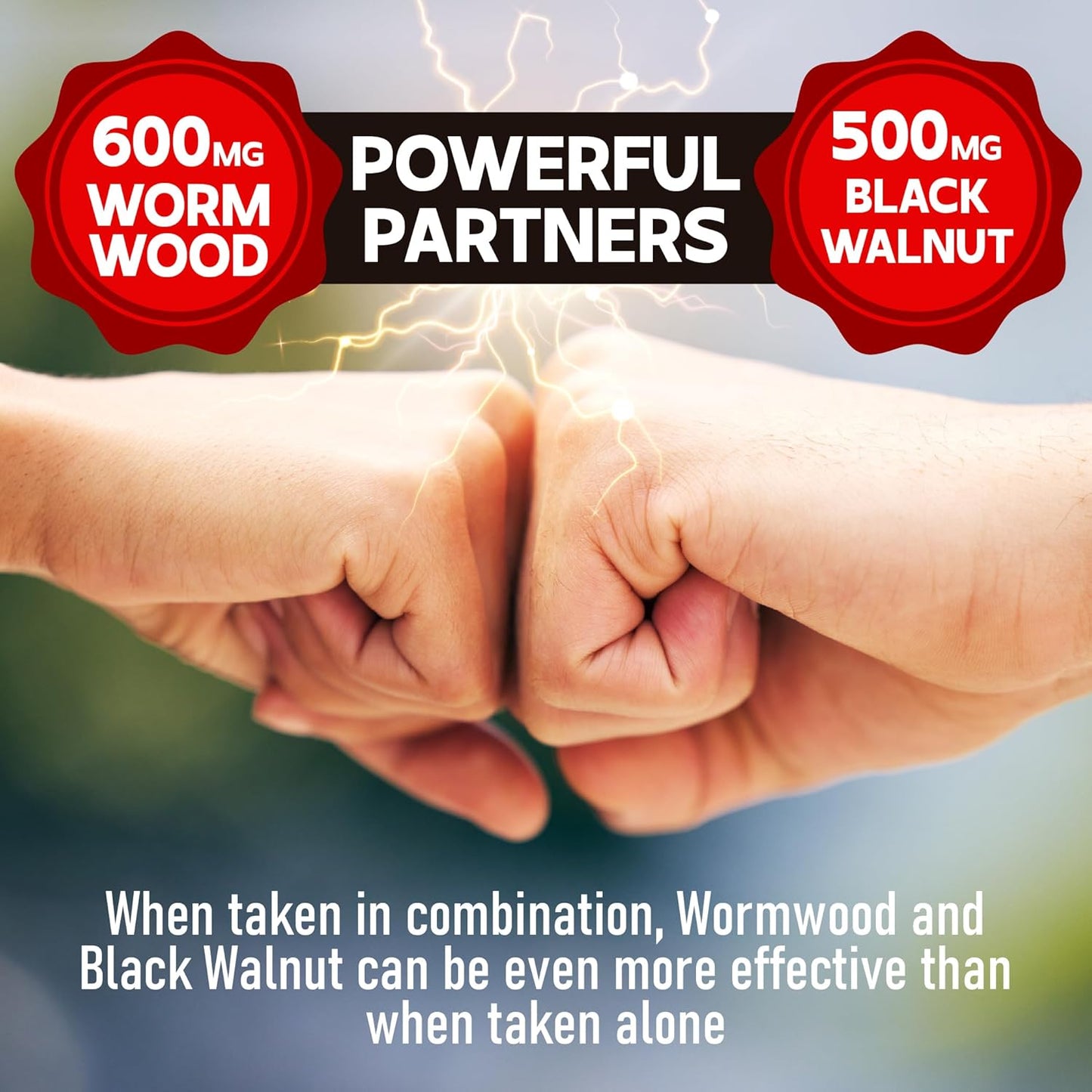 1500mg DEDICAD Sweet Wormwood Capsules with Black Walnut & Cloves - 240 Vegan Capsules for Digestive Health, Immunity & Body Support