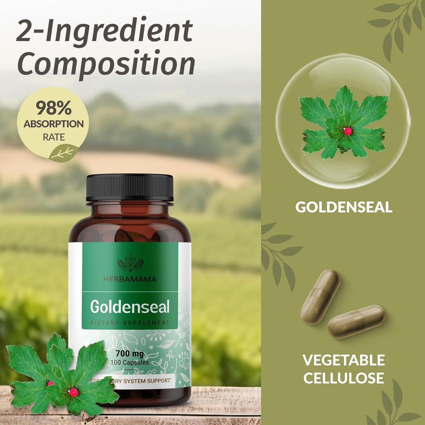 1500mg L-Carnitine Gummies & 700mg Goldenseal Capsules Bundle - Vegan, Non-GMO, Gelatin-Free - 2 Pack Kit