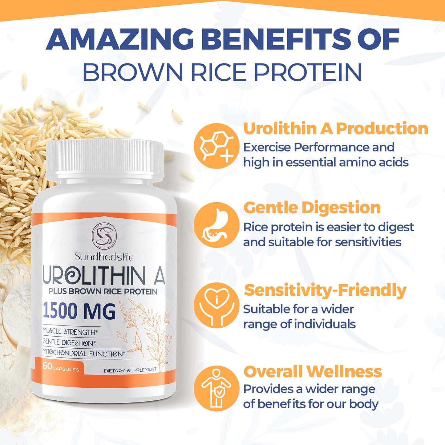 1500MG Sundhedsliv Urolithin A Supplement with Brown Rice Protein for Enhanced Exercise Performance and Cellular Health - Gluten Free - 60 Capsules