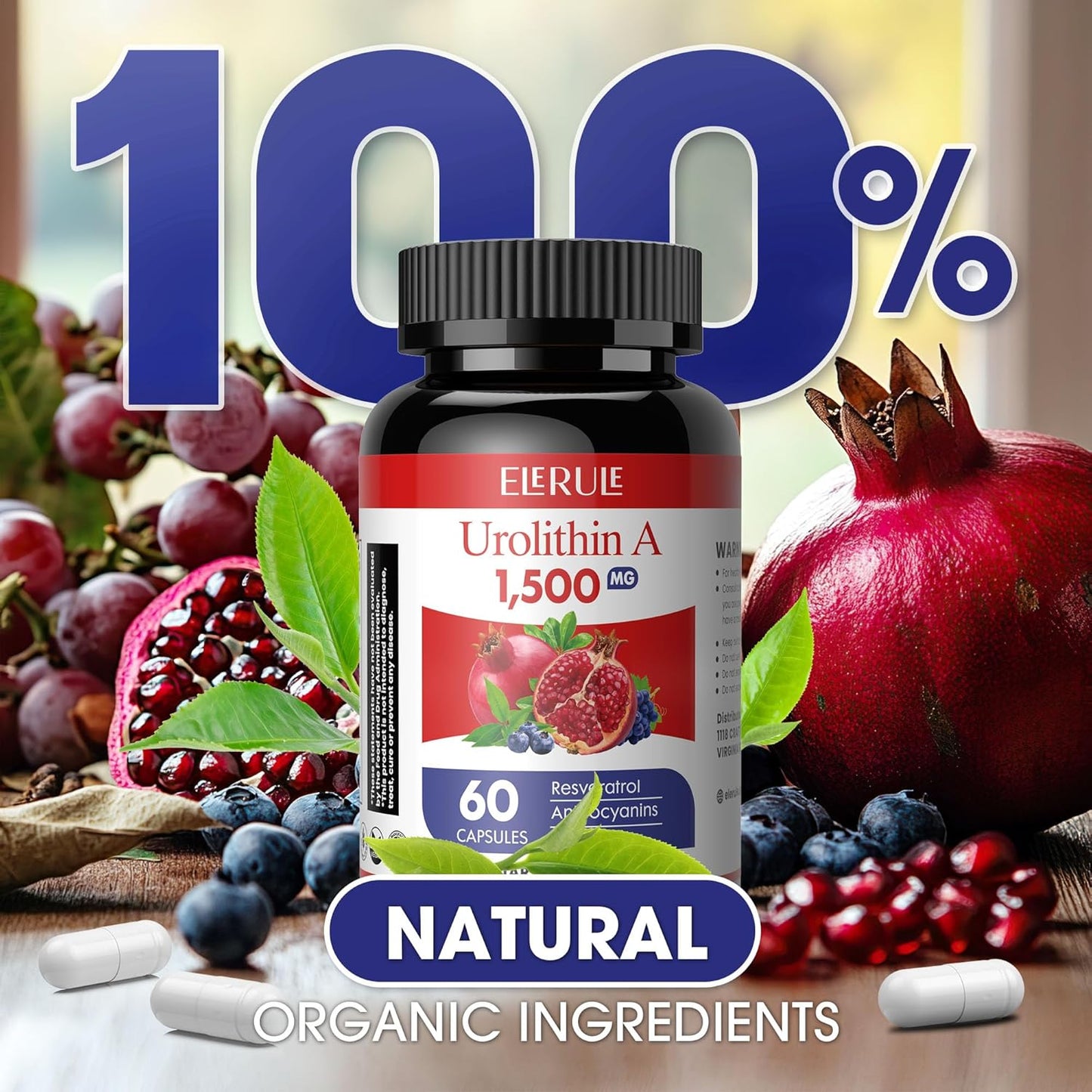 1500mg Urolithin A Supplement with Trans-Resveratrol, Anthocyanins, Green Tea - Promotes Healthy Aging and Cellular Vitality - 60 Capsules for Men & Women