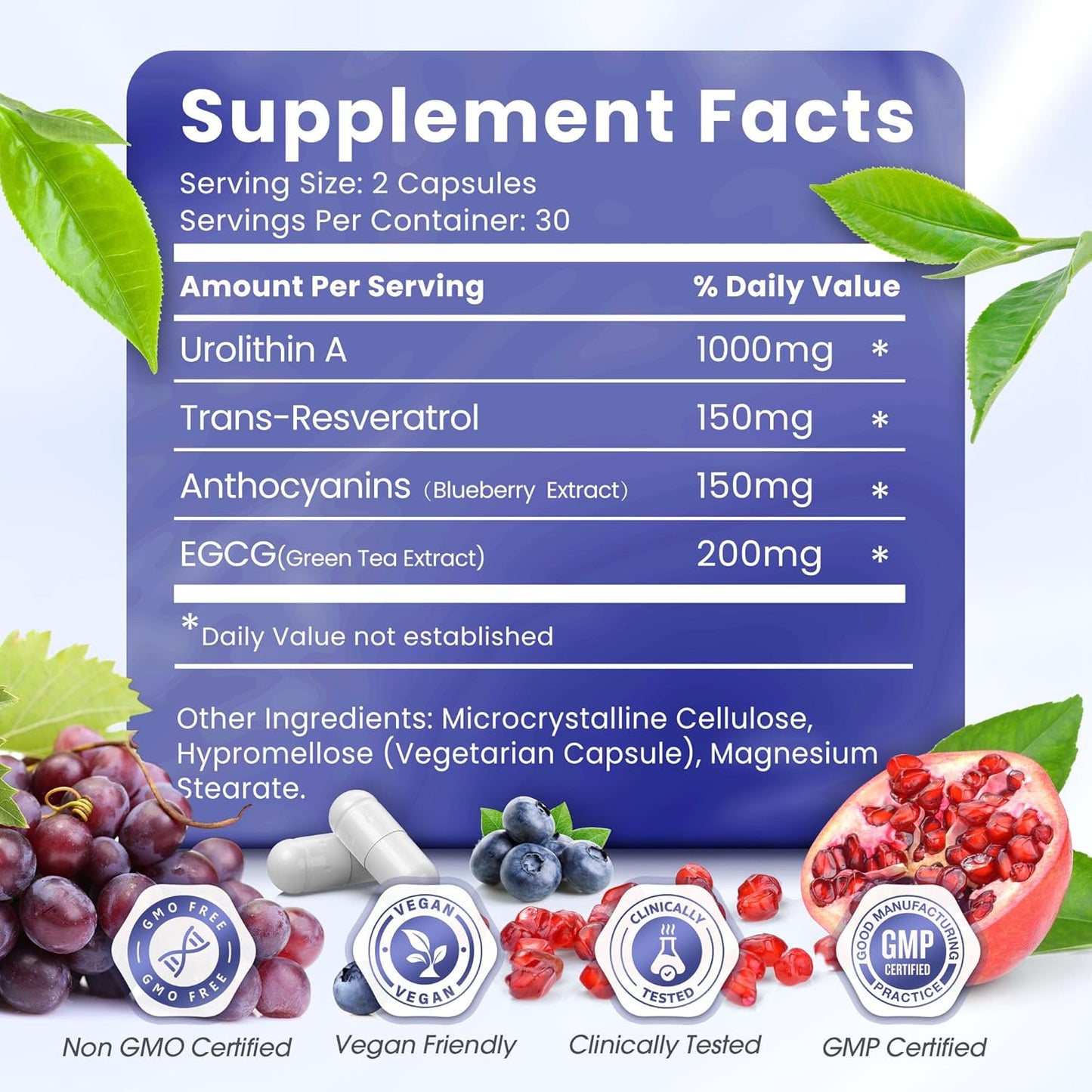 1500mg Urolithin A Supplement with Trans-Resveratrol, Anthocyanins, Green Tea - Promotes Healthy Aging and Cellular Vitality - 60 Capsules for Men & Women