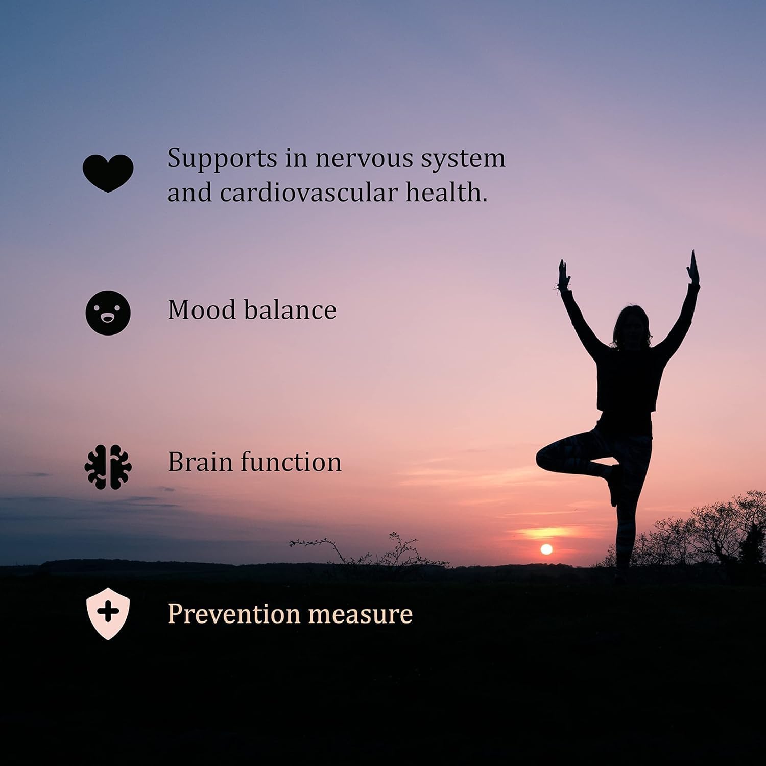 15mg SEDDS® BioFolate Tablets | 60 Count Value Size | Optimized L-Methylfolate Supplement | Enhanced Folic Acid | Non-GMO, Gluten Free | Made in USA