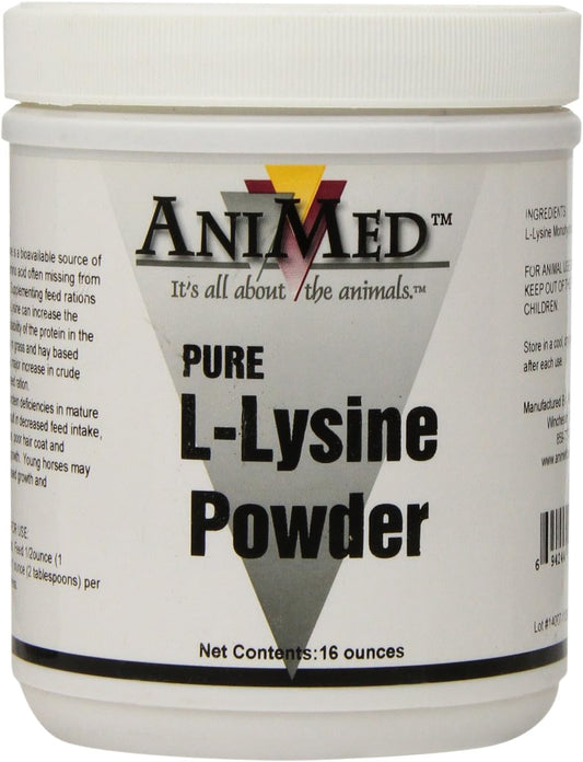 16-Ounce AniMed L-Lysine Supplement for Horses - Promotes Respiratory Health and Immune Function